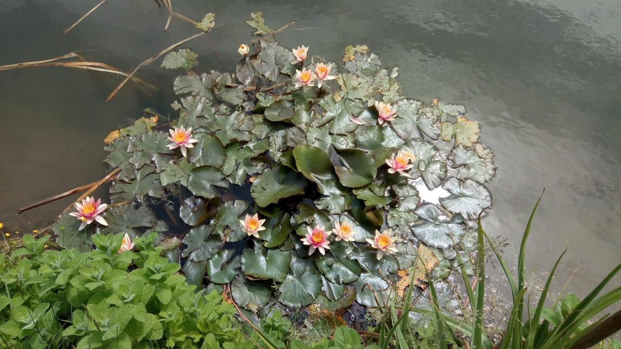 Chambre Coin Nature Fromelles Eksteriør bilde