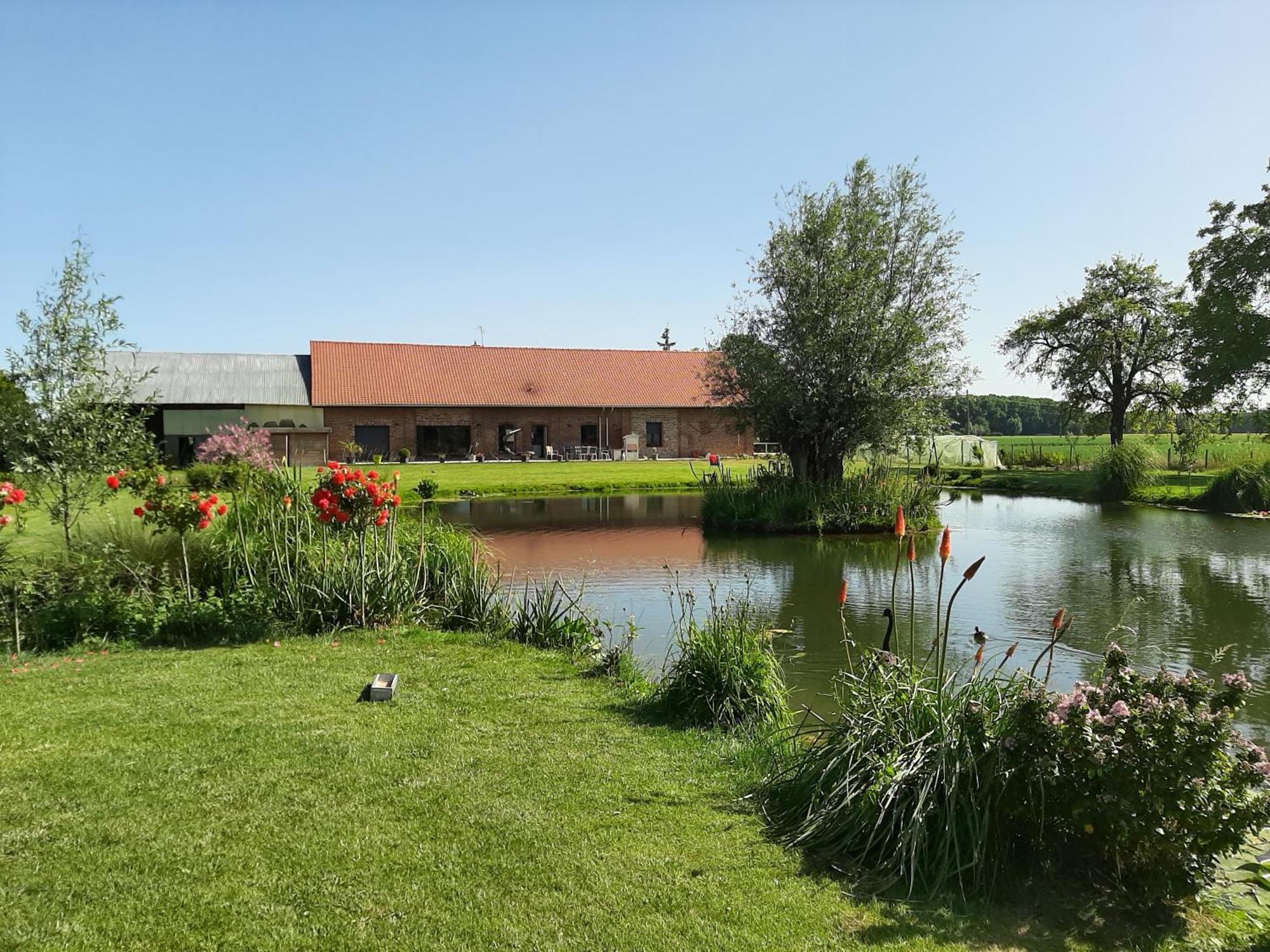 Chambre Coin Nature Fromelles Rom bilde